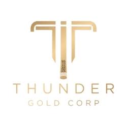 Thunder Gold logo